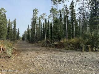 Lot 15 Drucke Miller Road Property Photo 6