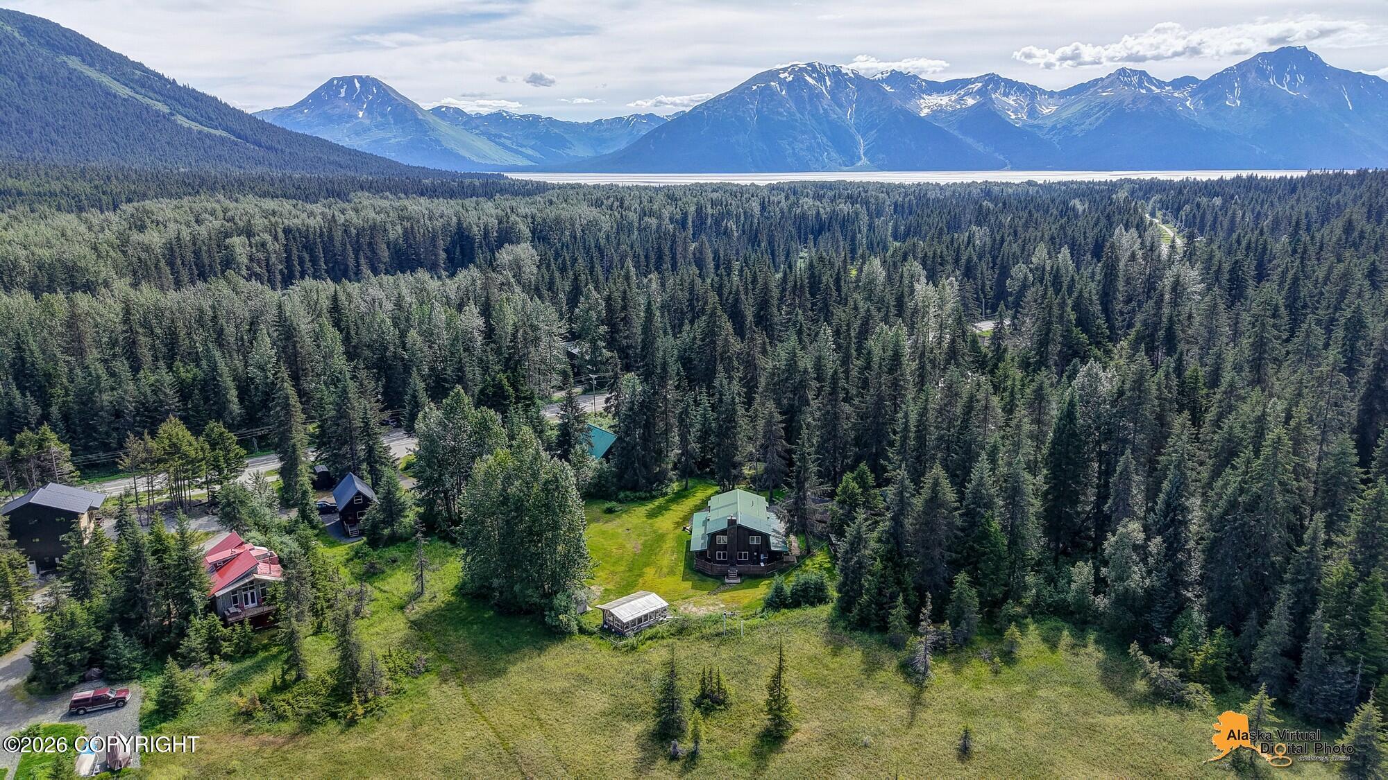 164 Glacier Creek Drive Property Photo 101