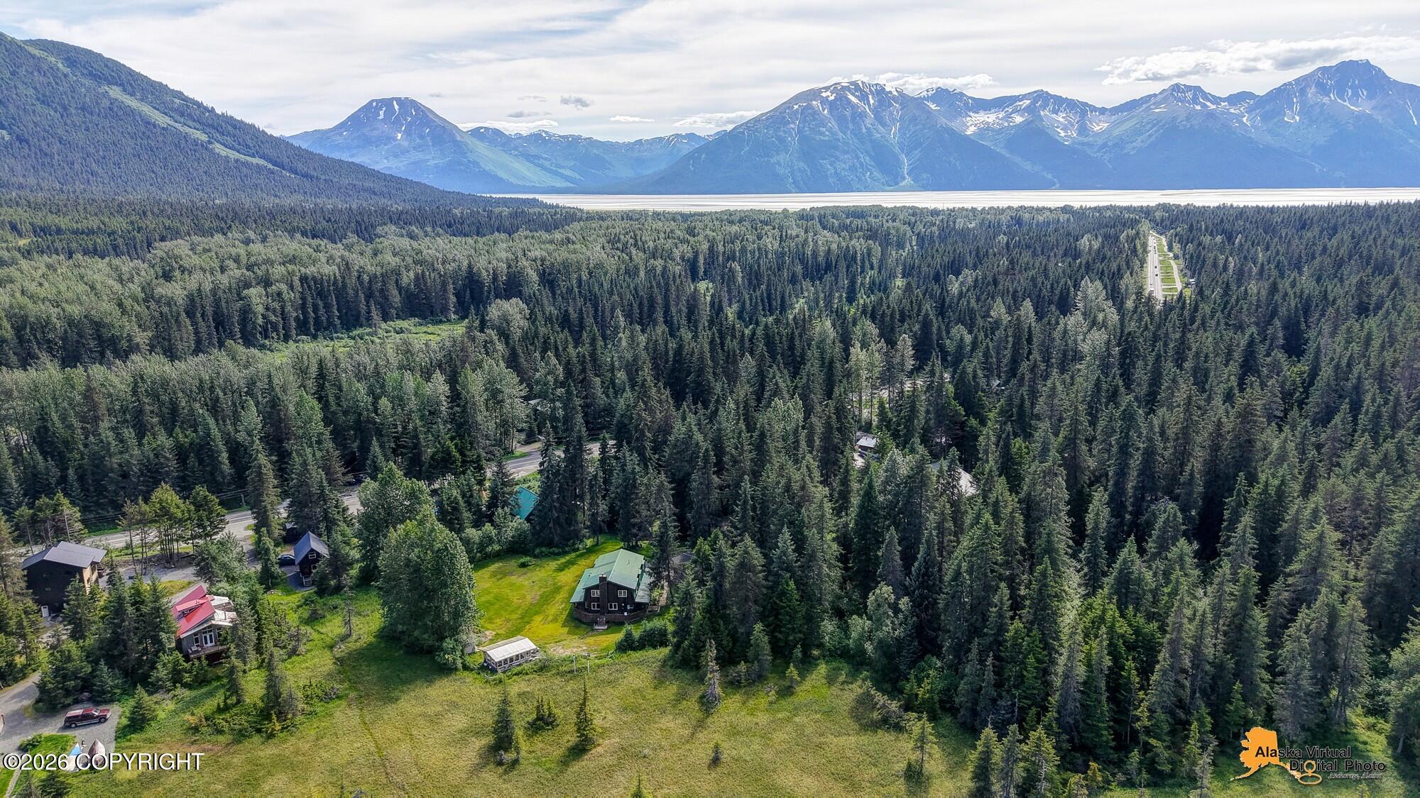 164 Glacier Creek Drive Property Photo 102