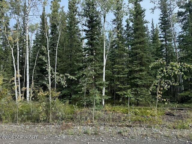 Lot 4 Butch Kuth Avenue Property Photo 1