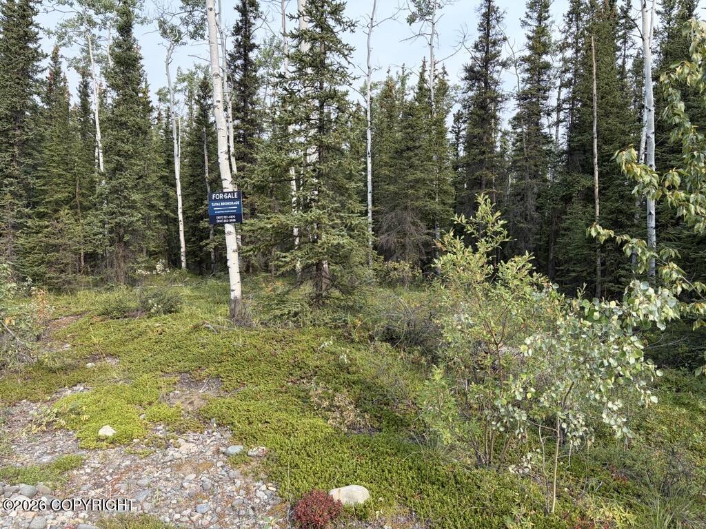 Lot 4 Butch Kuth Avenue Property Photo 1