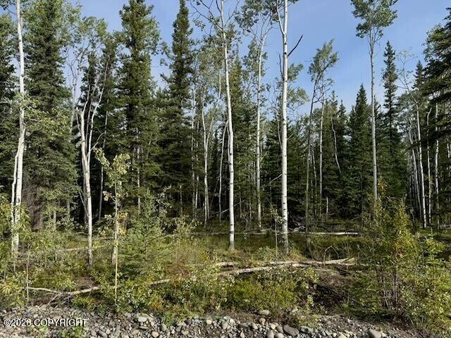Lot 4 Butch Kuth Avenue Property Photo 5