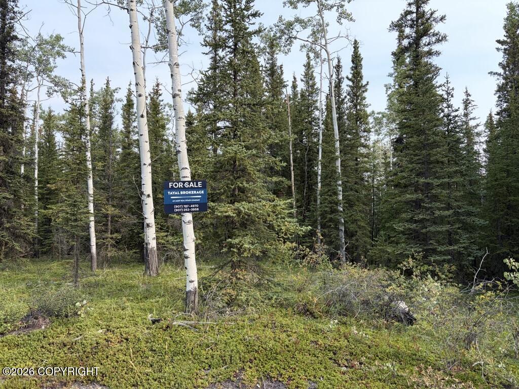 Lot 4 Butch Kuth Avenue Property Photo 6