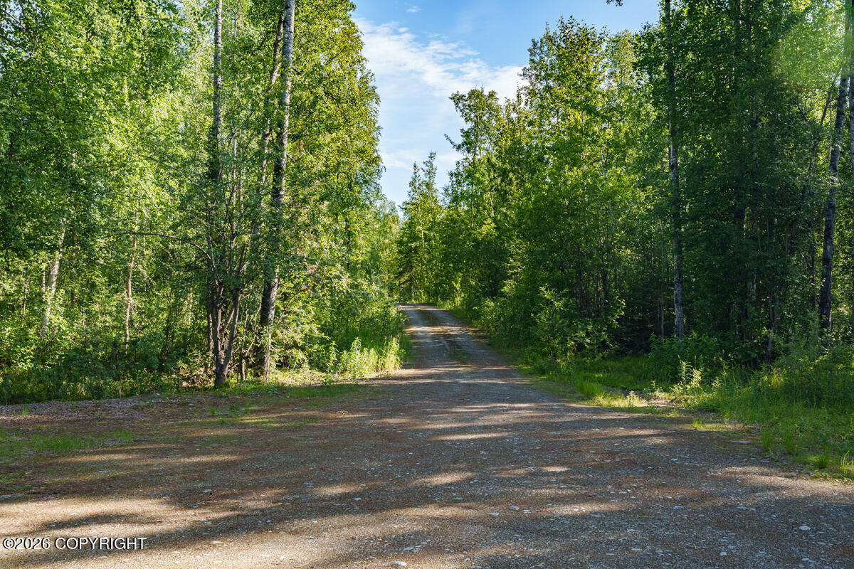 23729 W Long Lake Road Property Photo 46