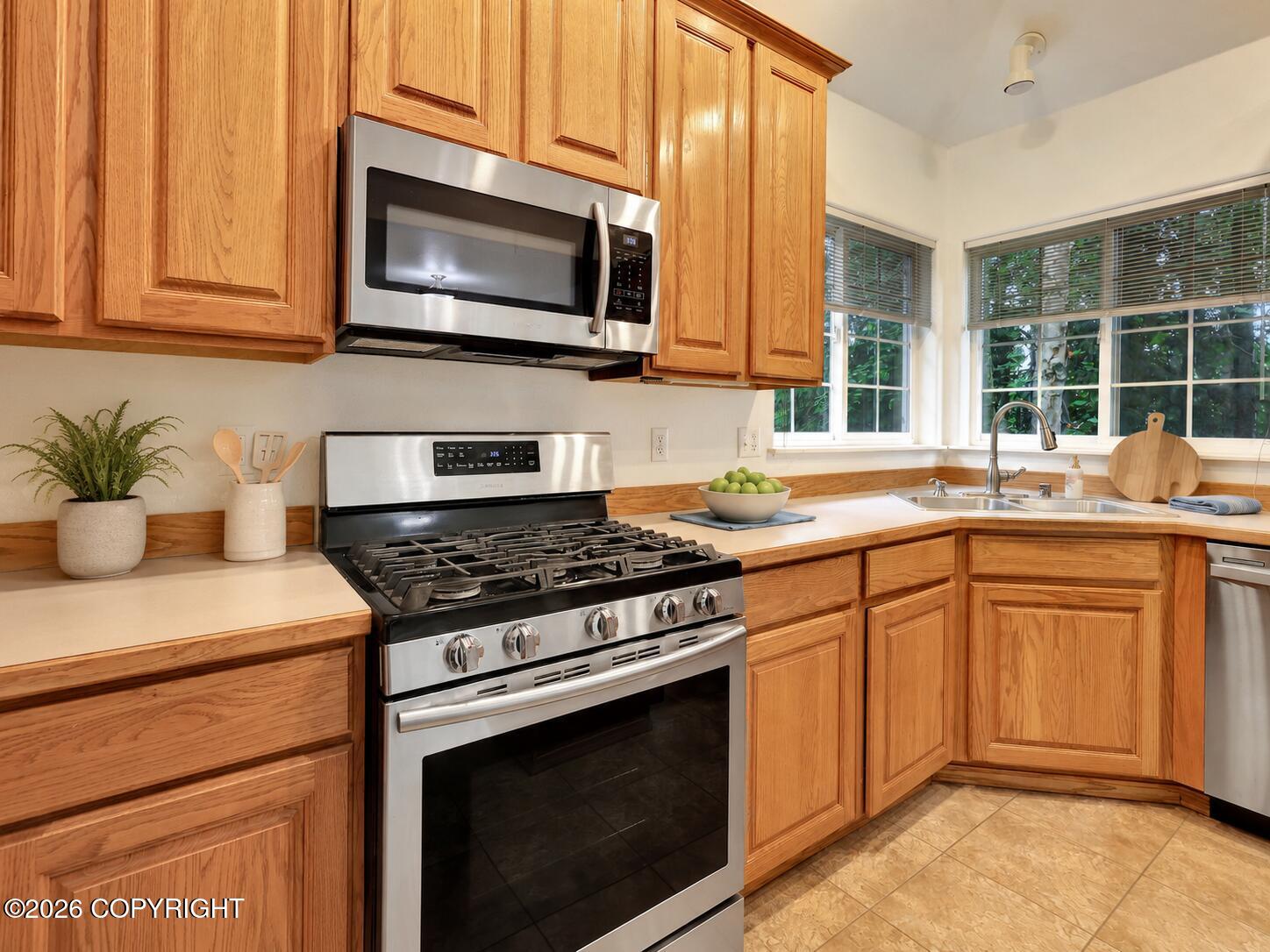 4272 Birch Run Drive Property Photo 8