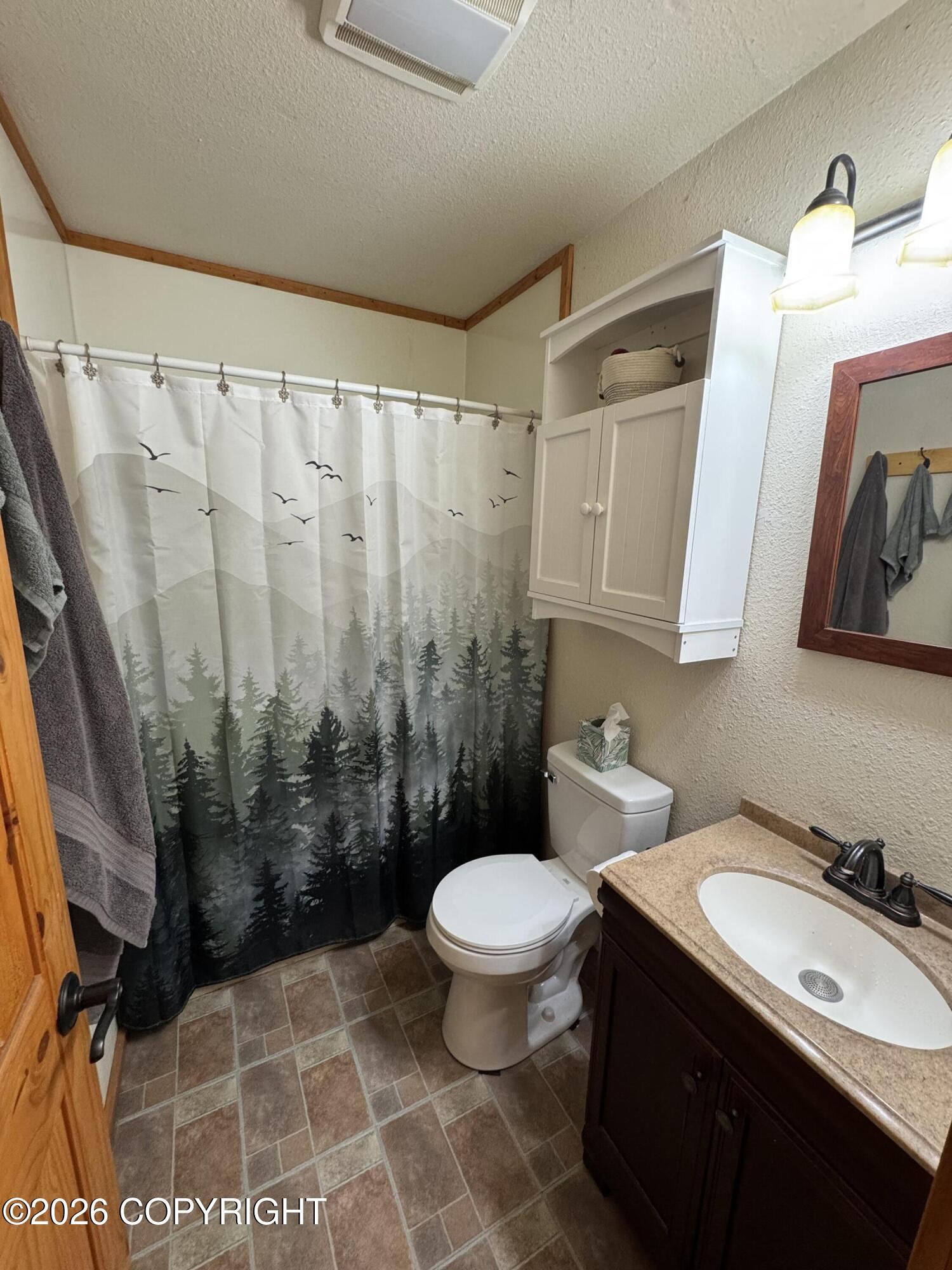 Mi .5 Nabesna Road Property Photo 9