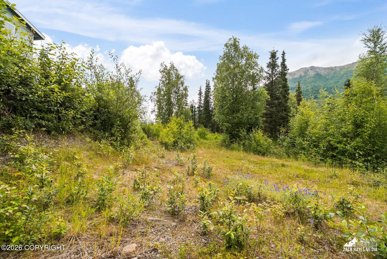 19328 Trail Bay Drive Property Photo 76