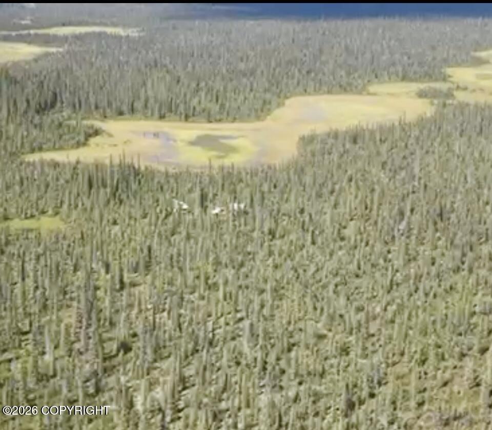 Mile 149 Glenn Highway Property Photo 22