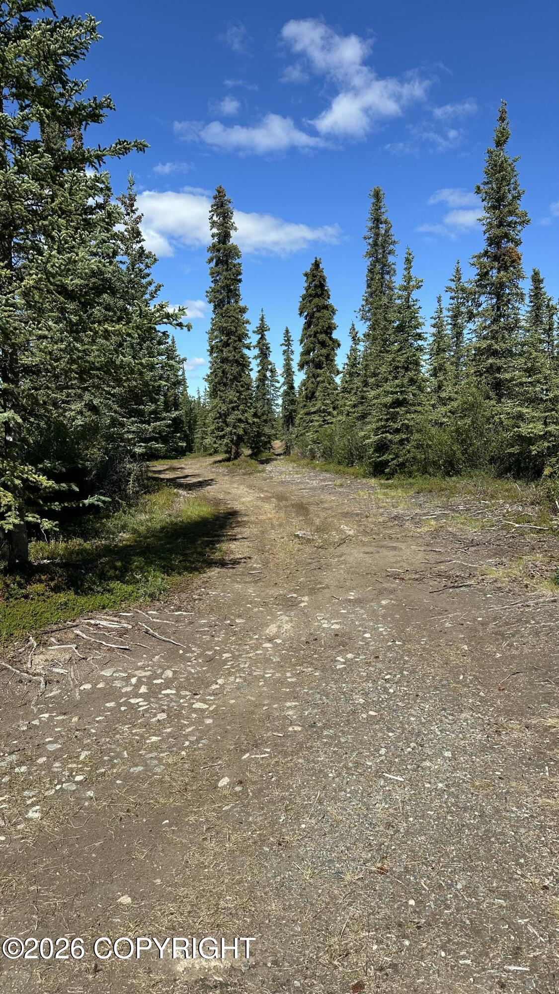 Mile 149 Glenn Highway Property Photo 23