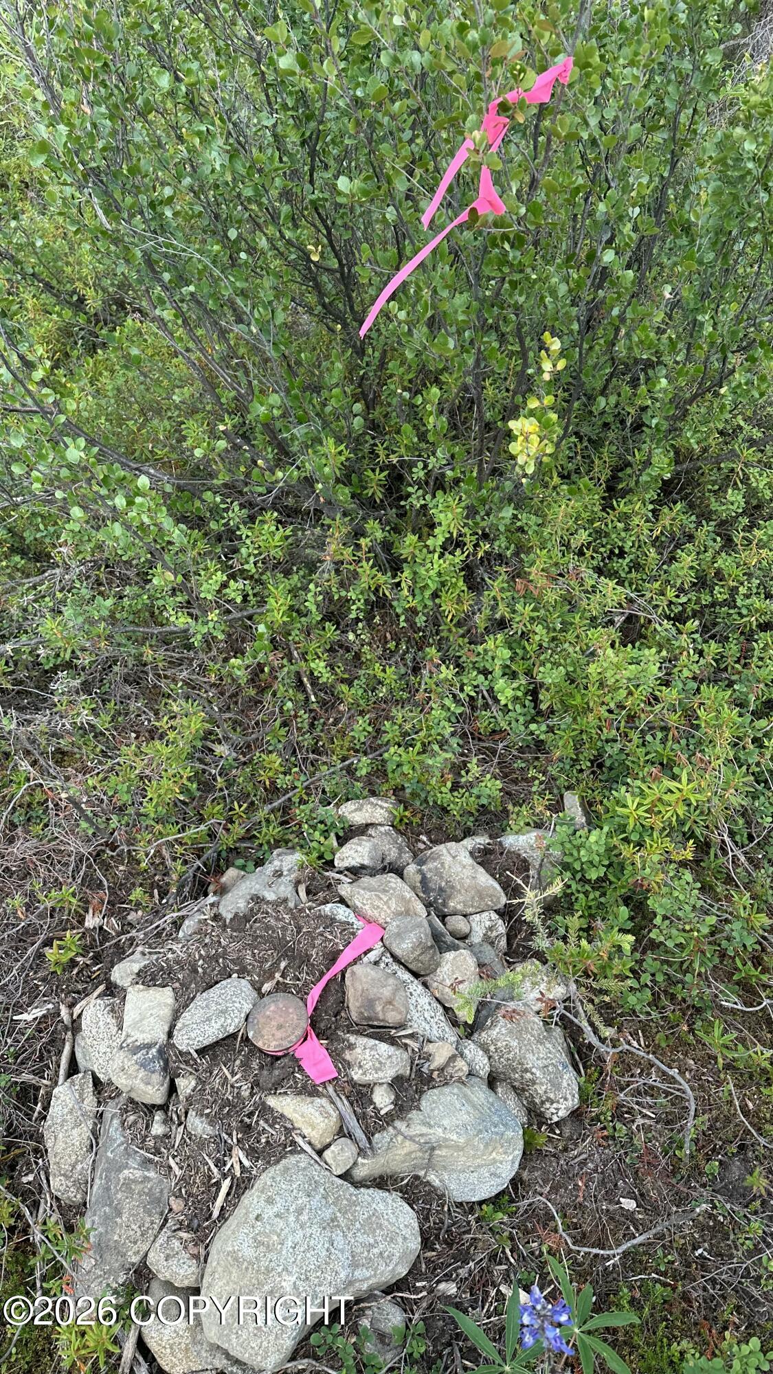 Mile 149 Glenn Highway Property Photo 25