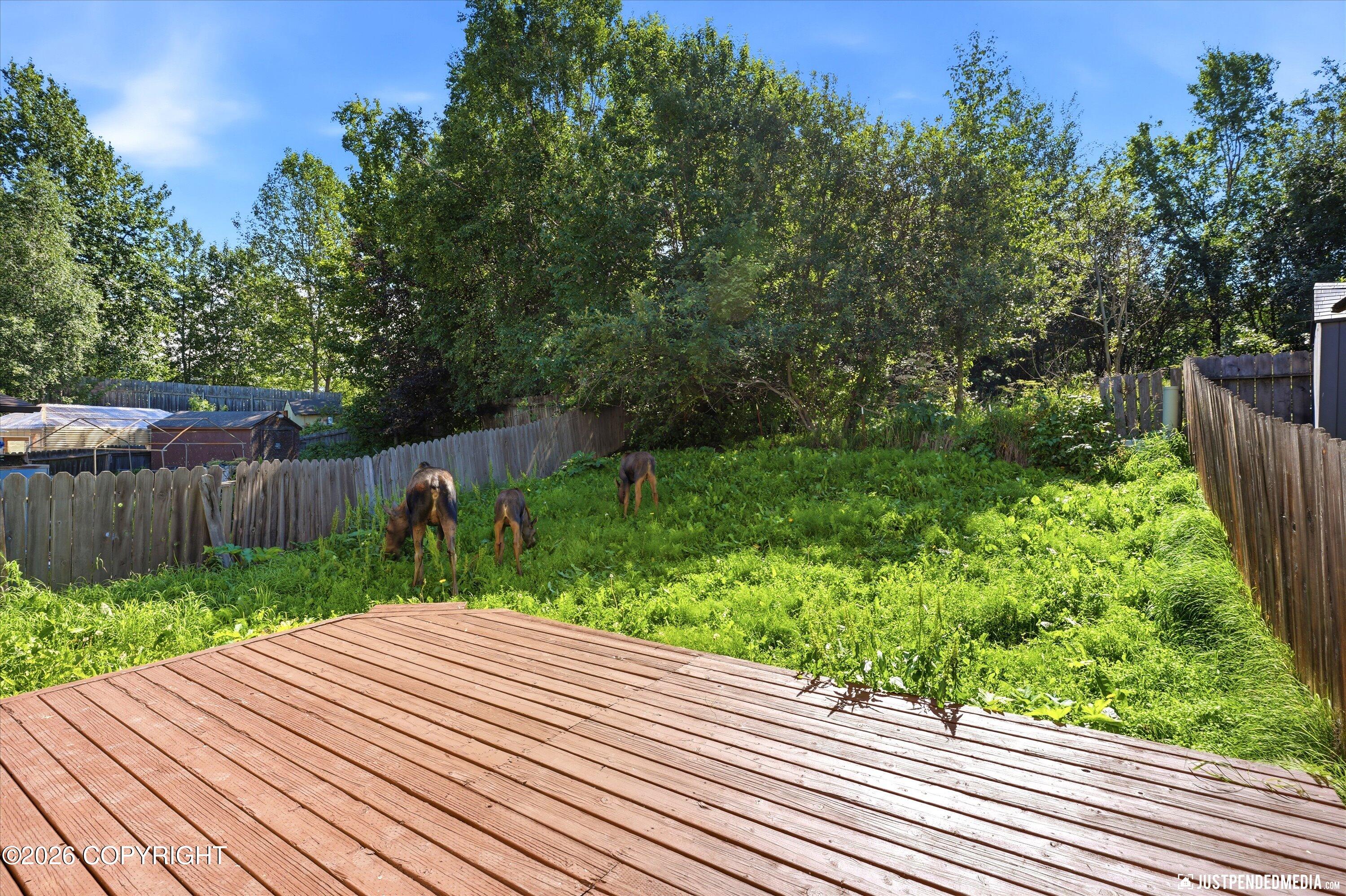 10321 Thimble Berry Drive Property Photo 14