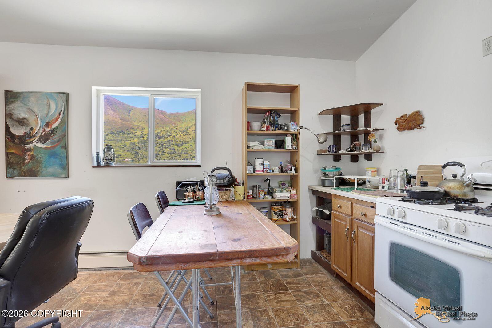 4025 Cotton Grass Drive Property Photo 20
