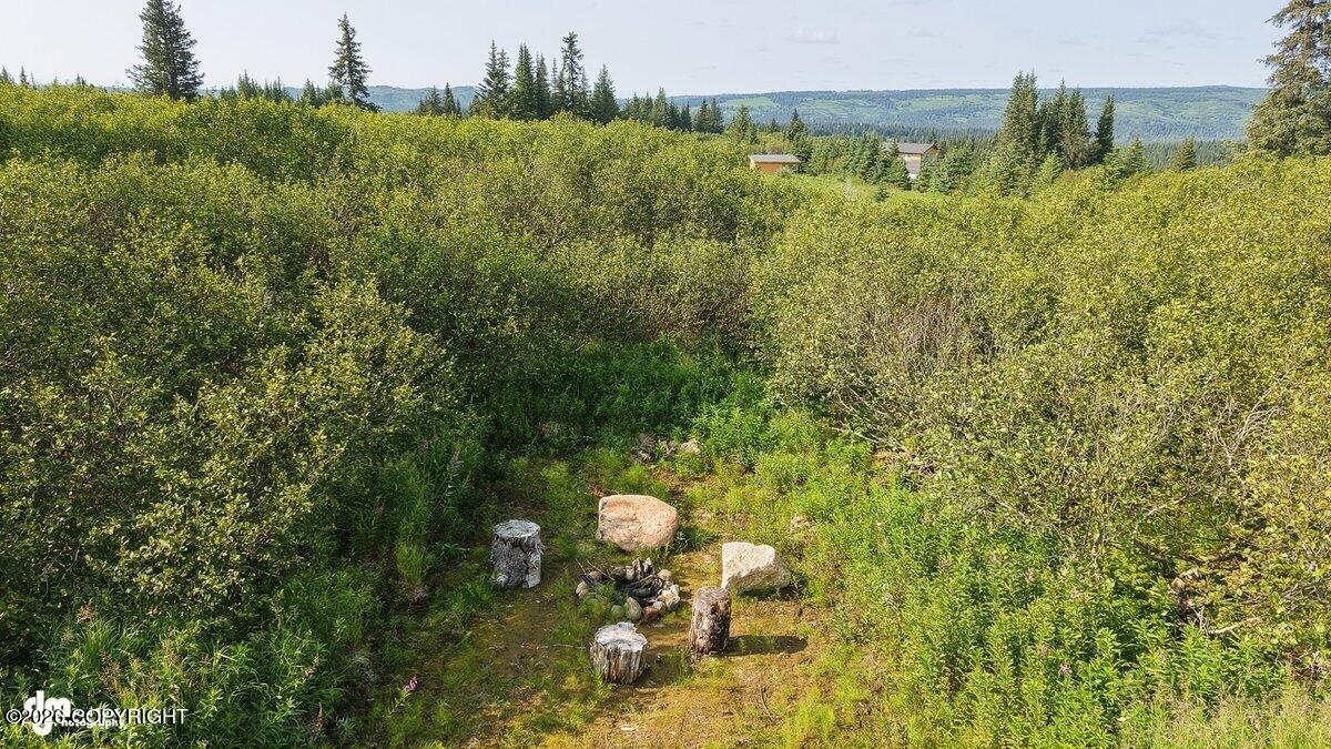 38560 Mossberg Drive Property Photo 62