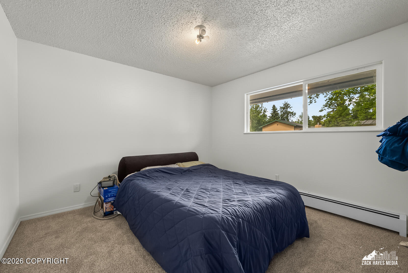4236 Irene Drive Property Photo 16