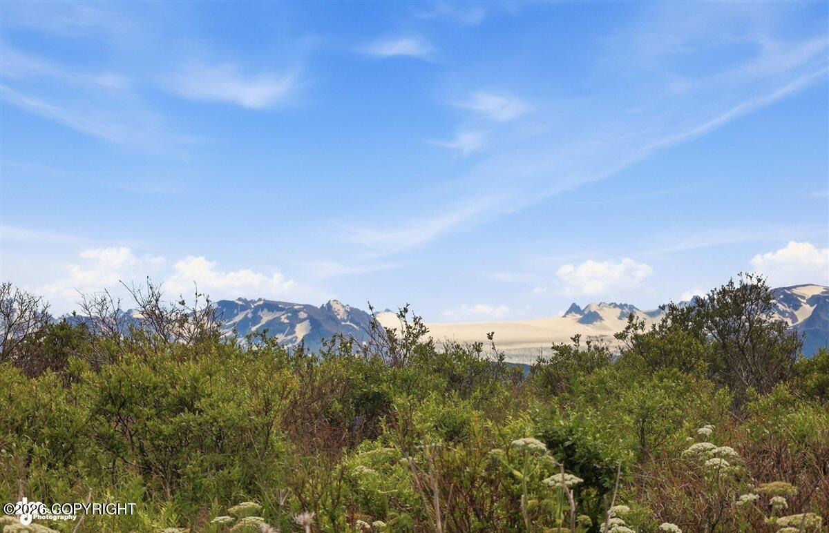35342 Howling Husky Circle Property Photo 4