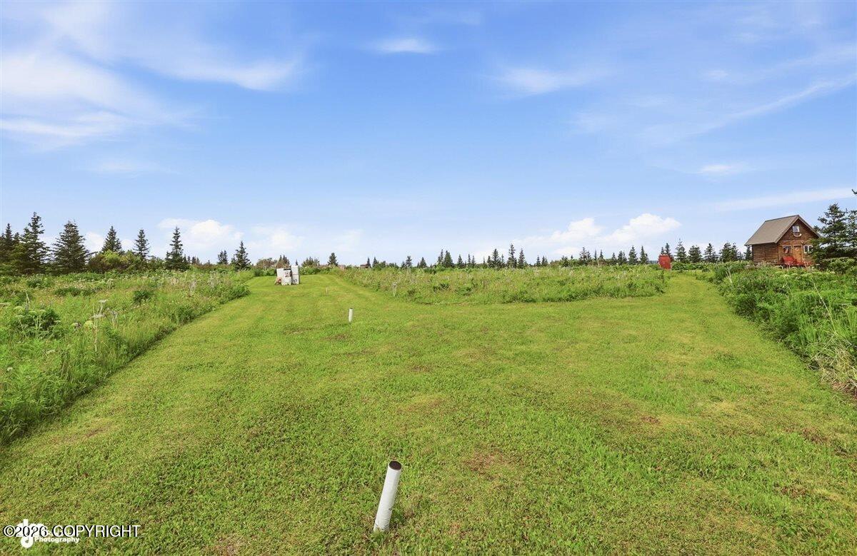 35342 Howling Husky Circle Property Photo 94