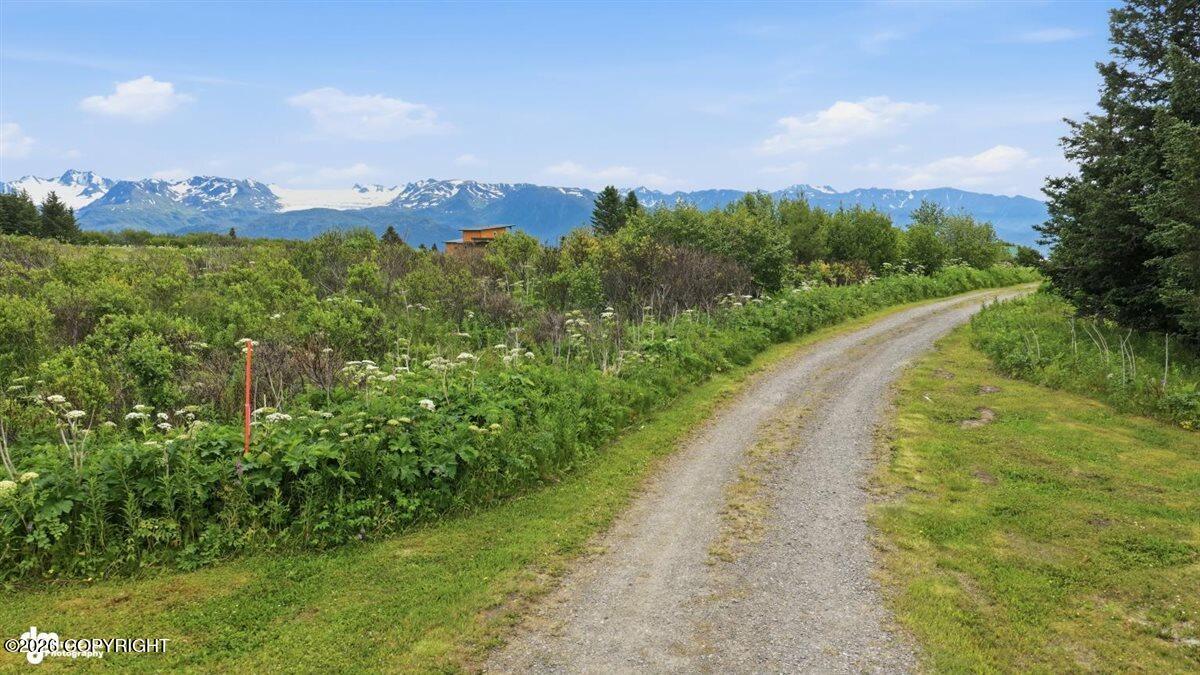 35342 Howling Husky Circle Property Photo 101