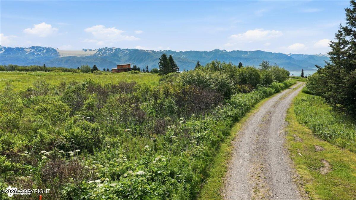 35342 Howling Husky Circle Property Photo 117