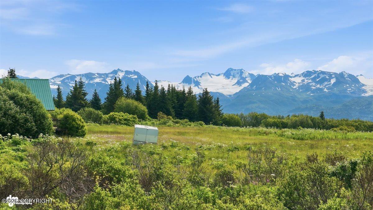 35342 Howling Husky Circle Property Photo 119