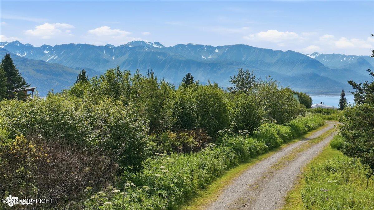 35342 Howling Husky Circle Property Photo 120