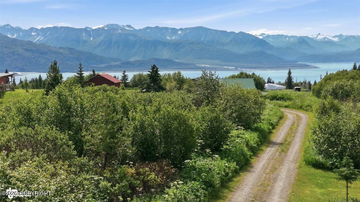 35342 Howling Husky Circle Property Photo 121