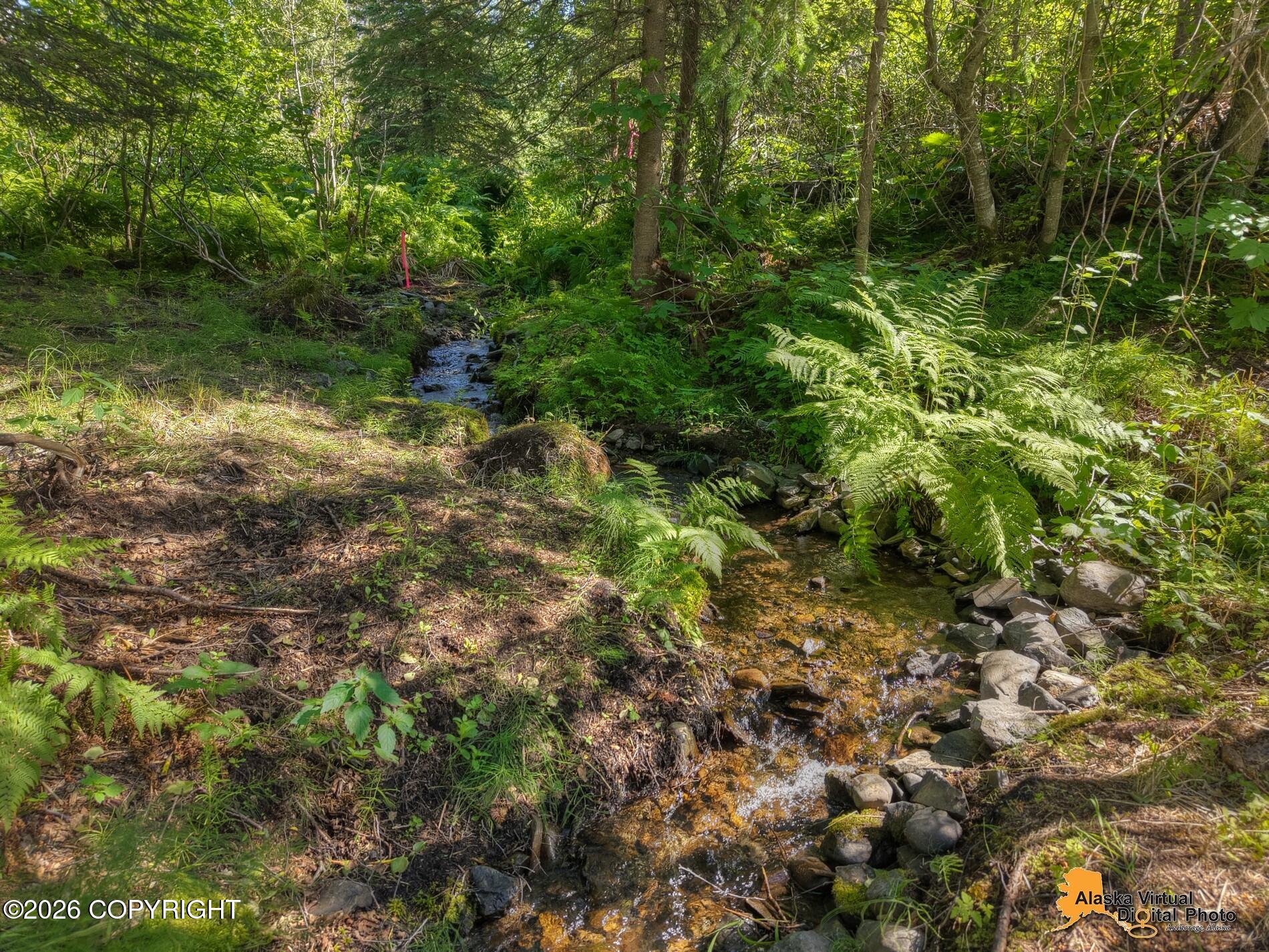 6400 O'malley Road Property Photo 3