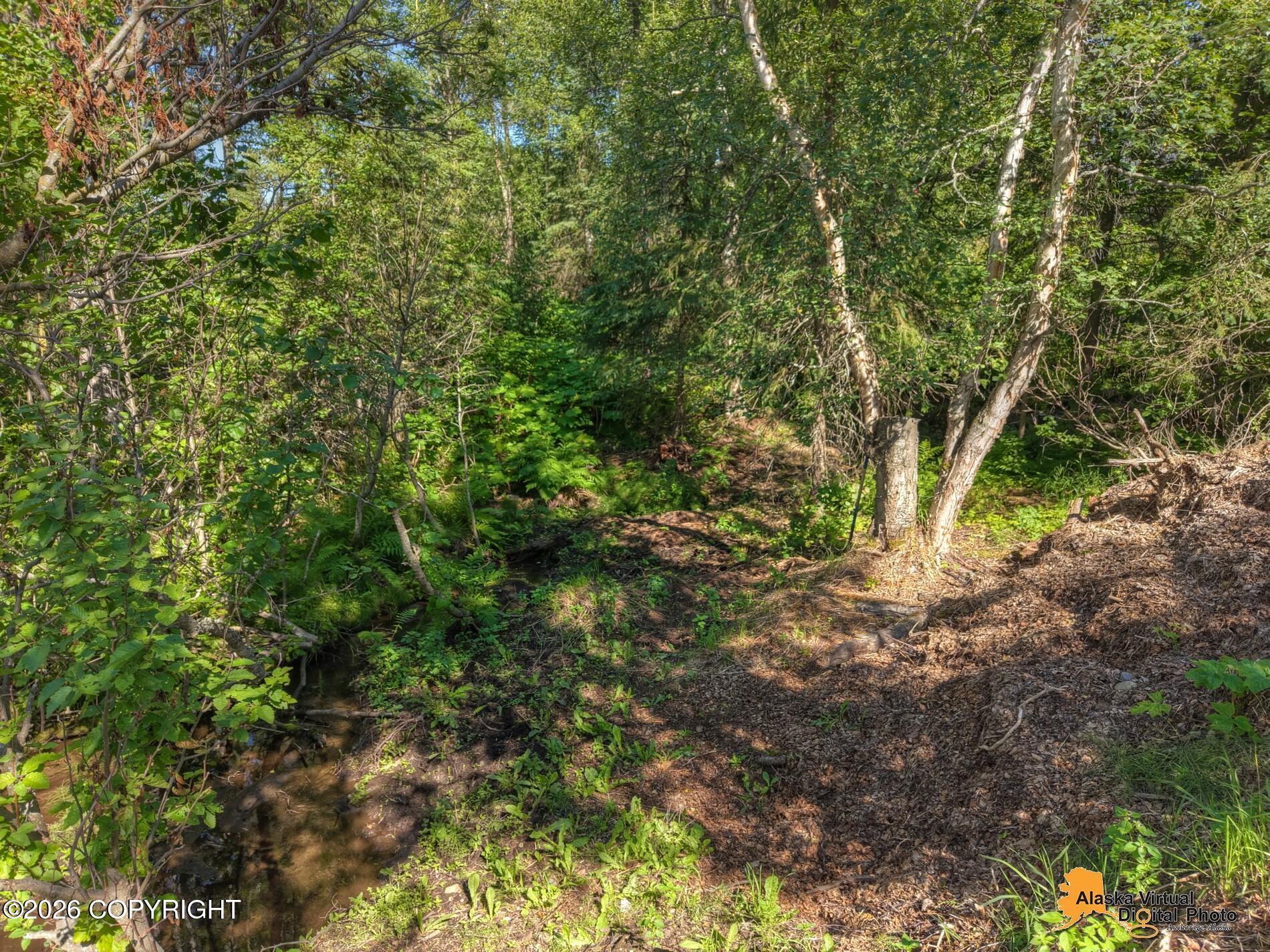 6400 O'malley Road Property Photo 64