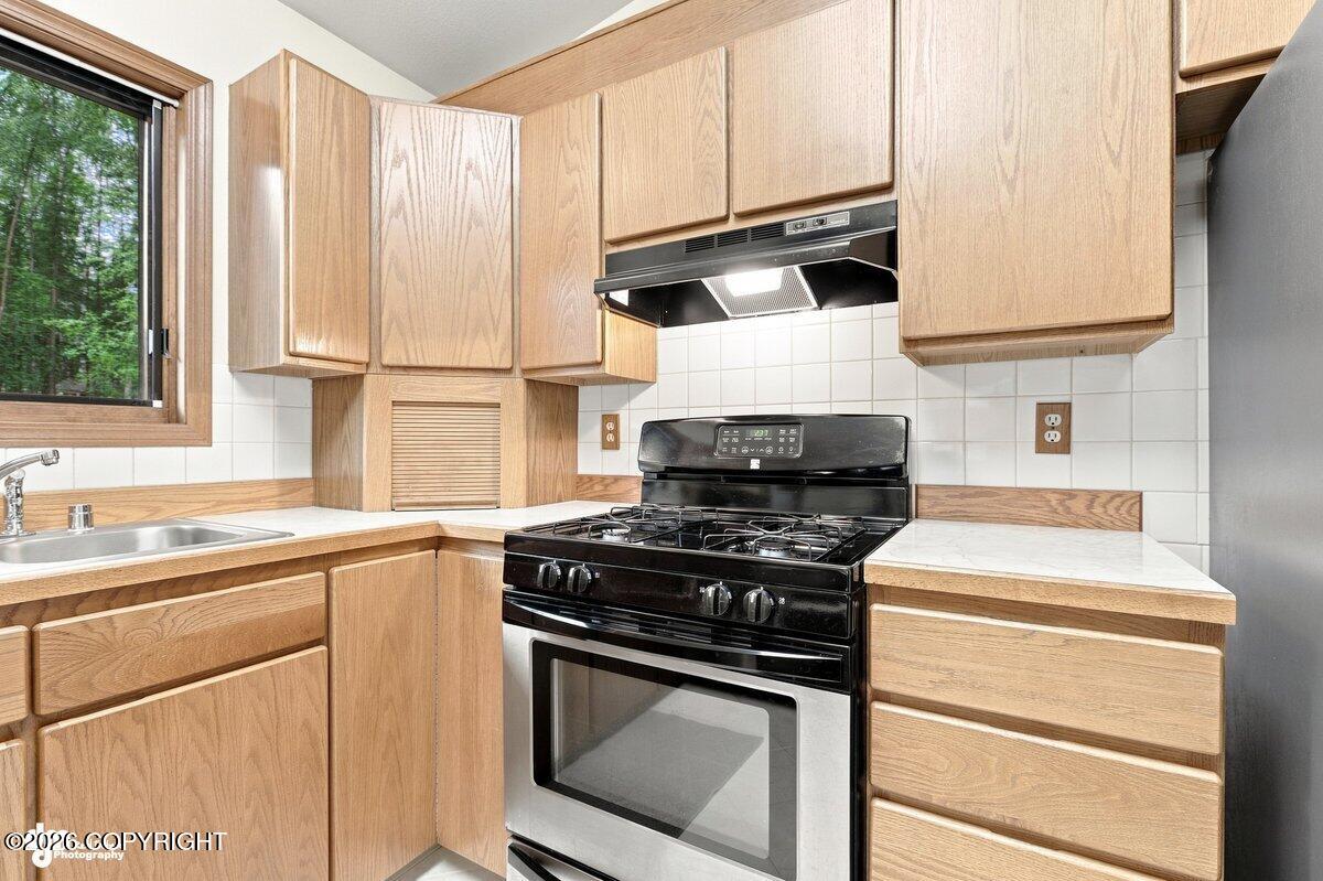 21910 Sheltering Spruce Loop Property Photo 18