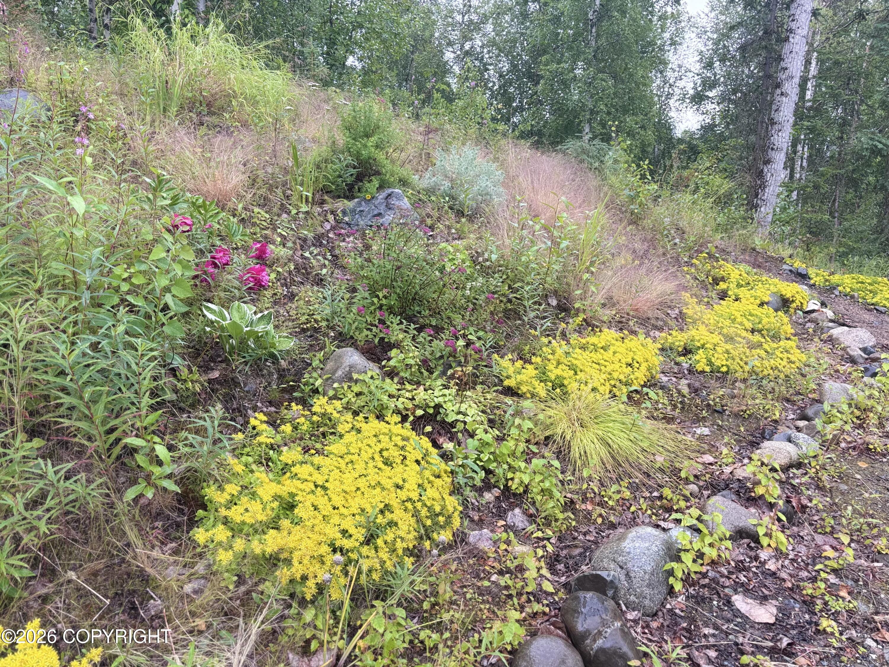 14463 E Ian Tawney Drive Property Photo 4