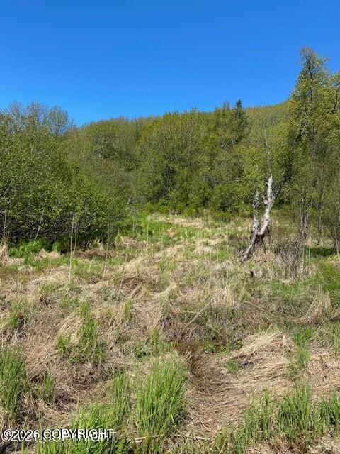 58150 S Glacier View Road Property Photo 4