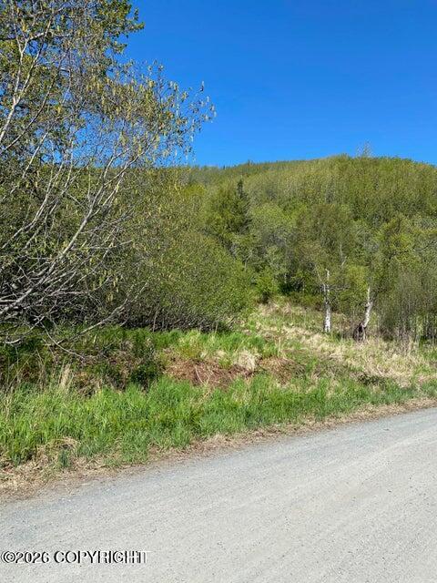 58150 S Glacier View Road Property Photo 6