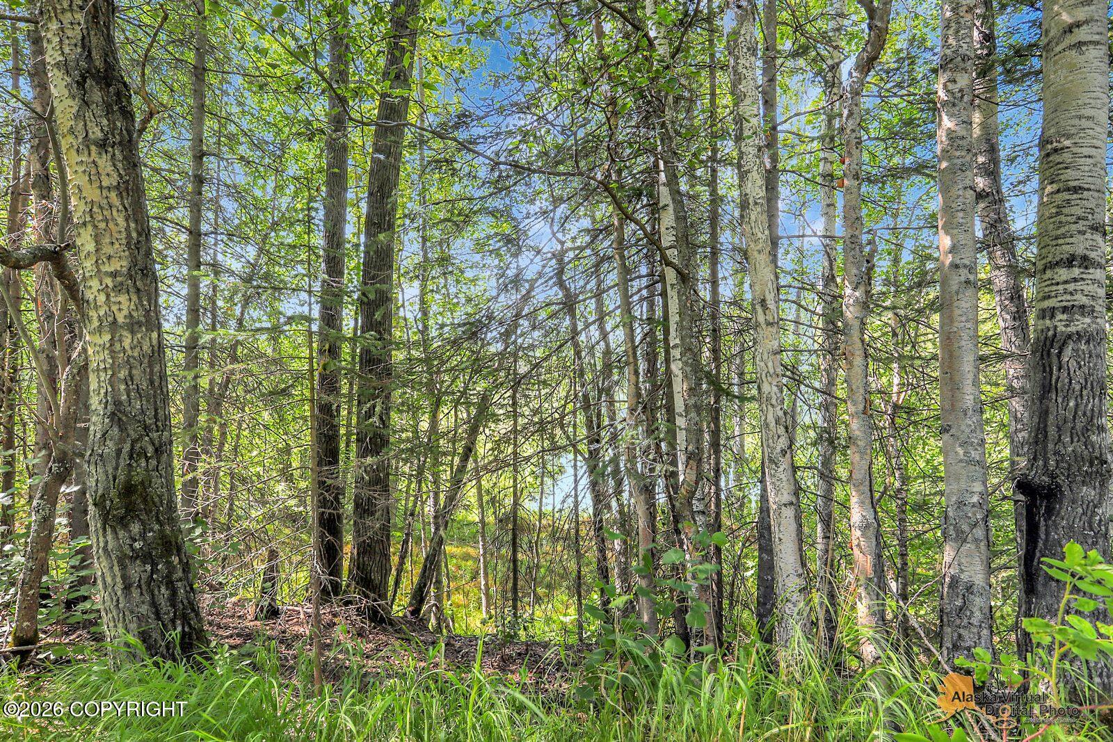 460 N Klouda Circle Property Photo 39