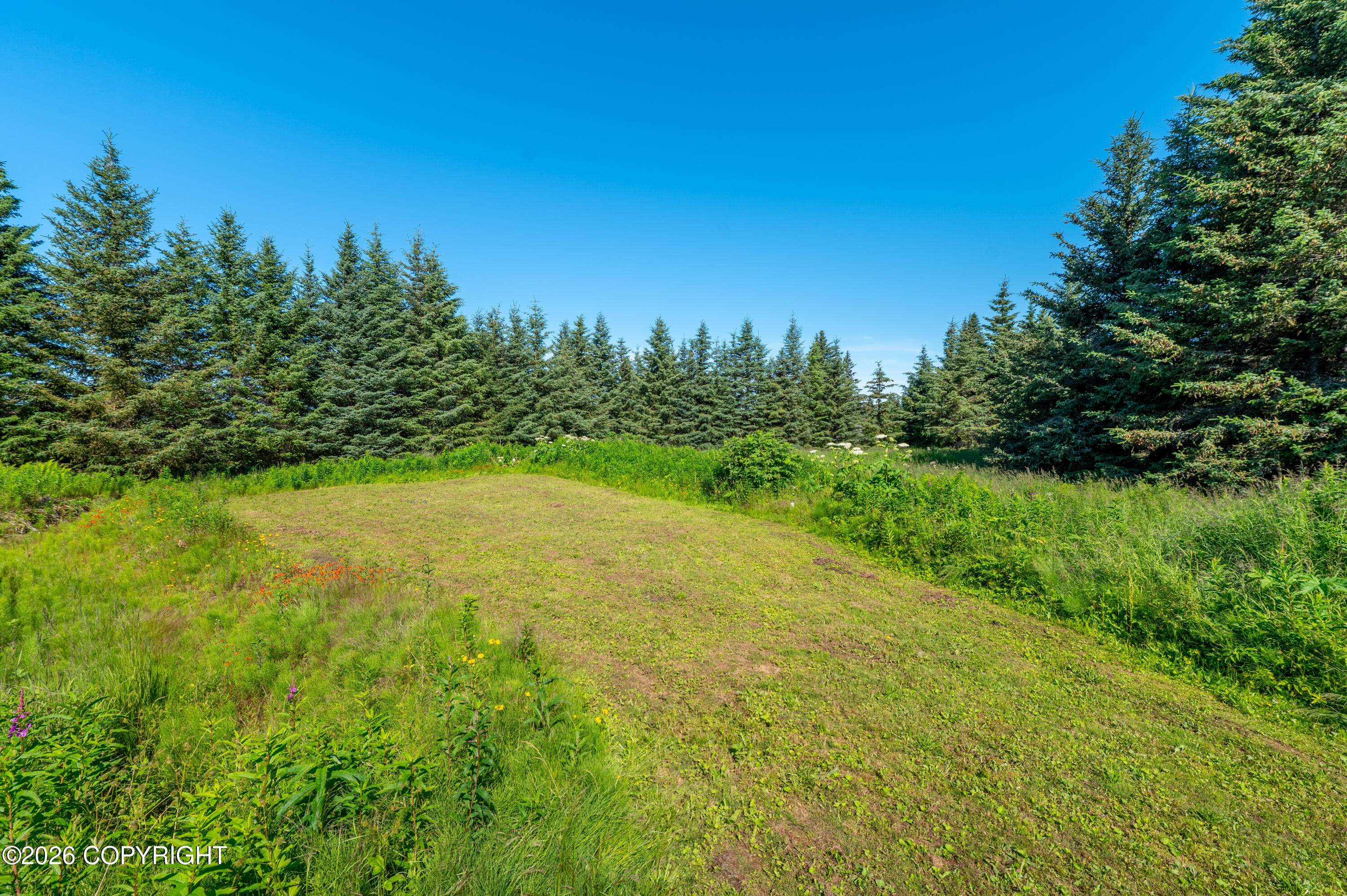 40460 Belnap Drive Property Photo 35