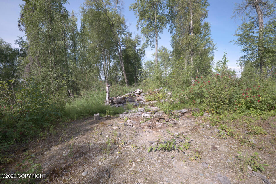 35568 S Malaspina Loop Property Photo 18