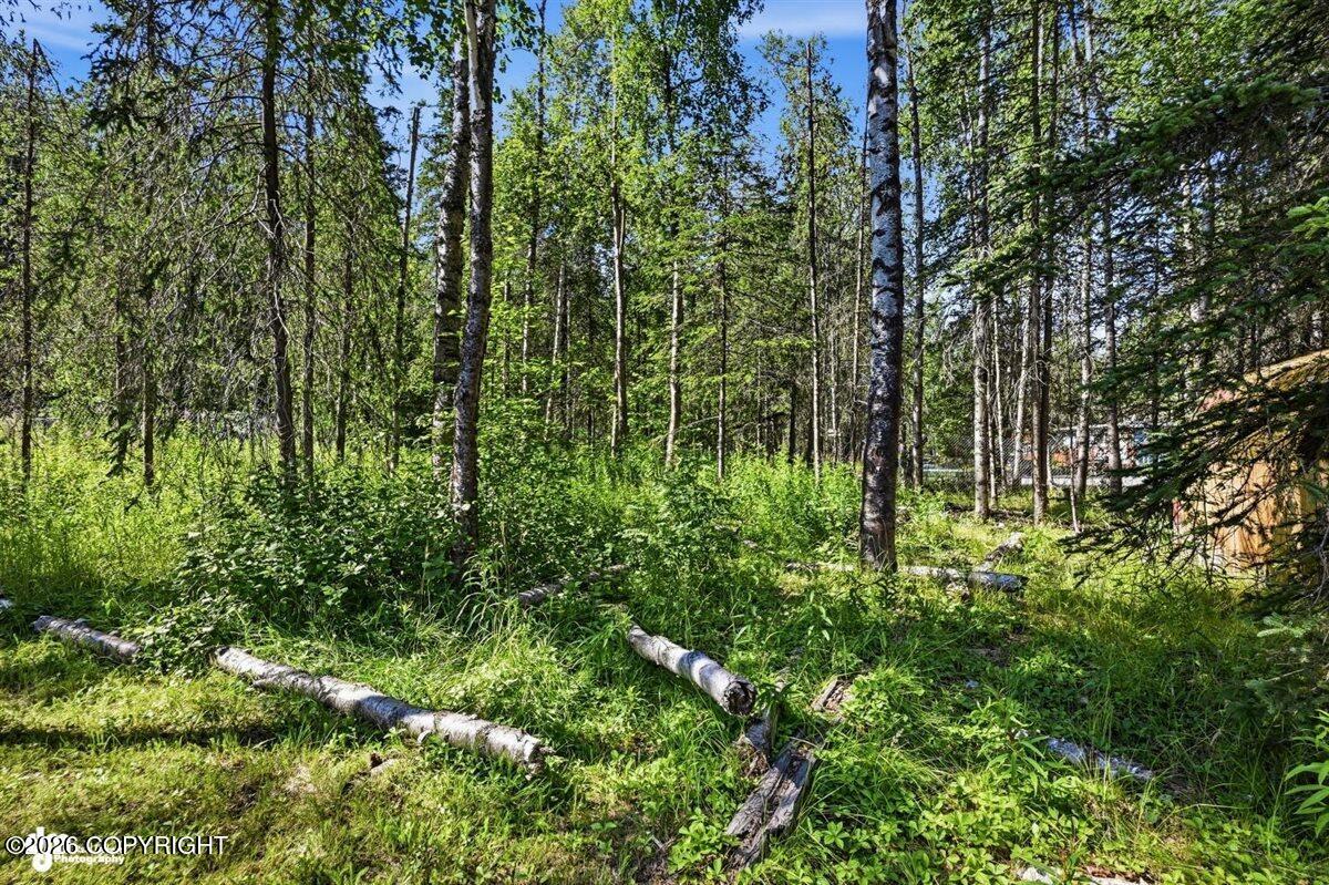 18306 Birchtree Street Property Photo 45