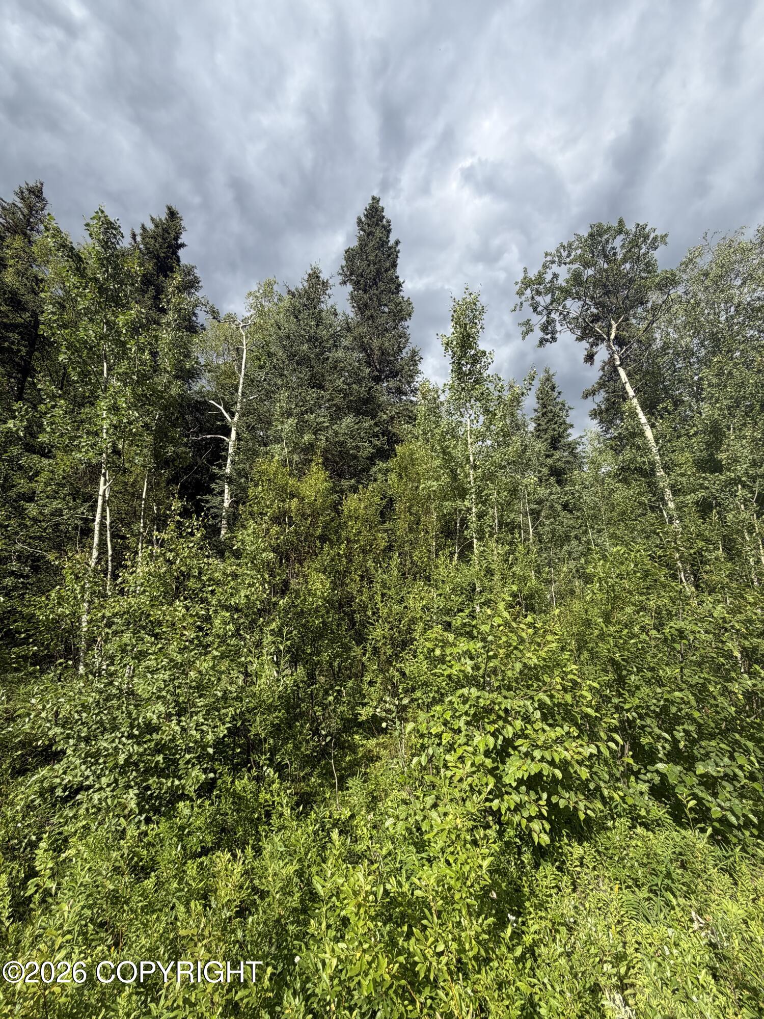 40676 Seward Highway Property Photo 3