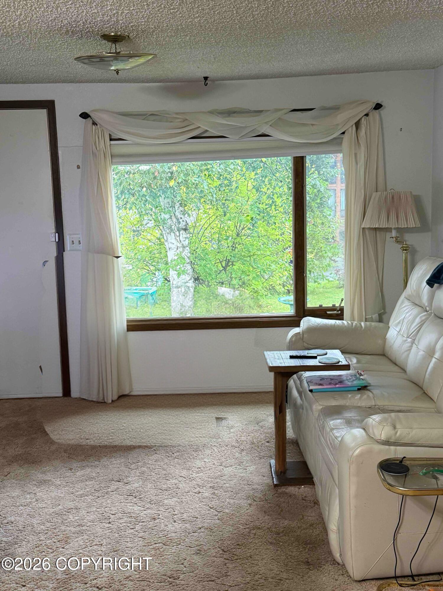 11437 Echo Street Property Photo 7