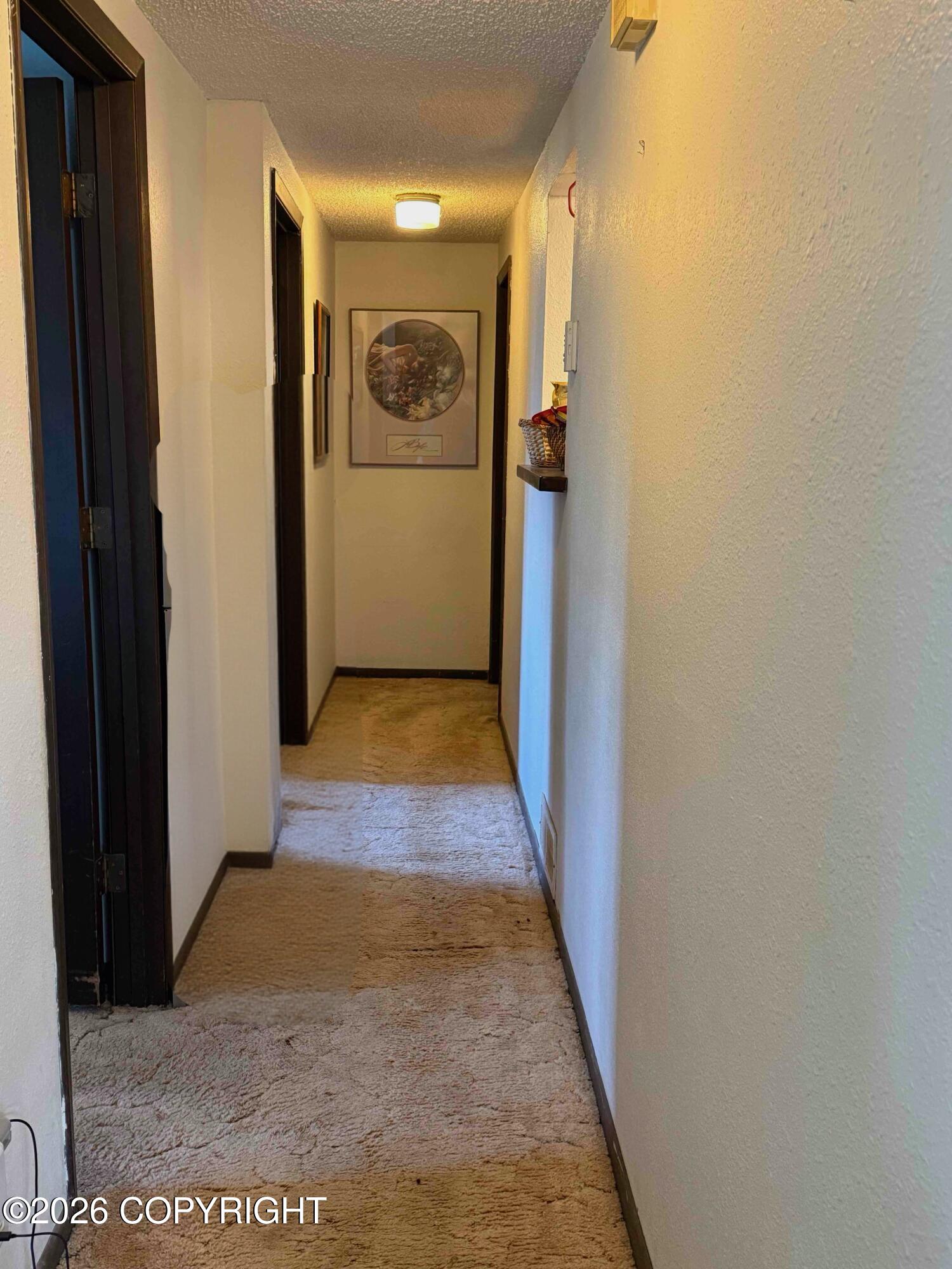 11437 Echo Street Property Photo 8