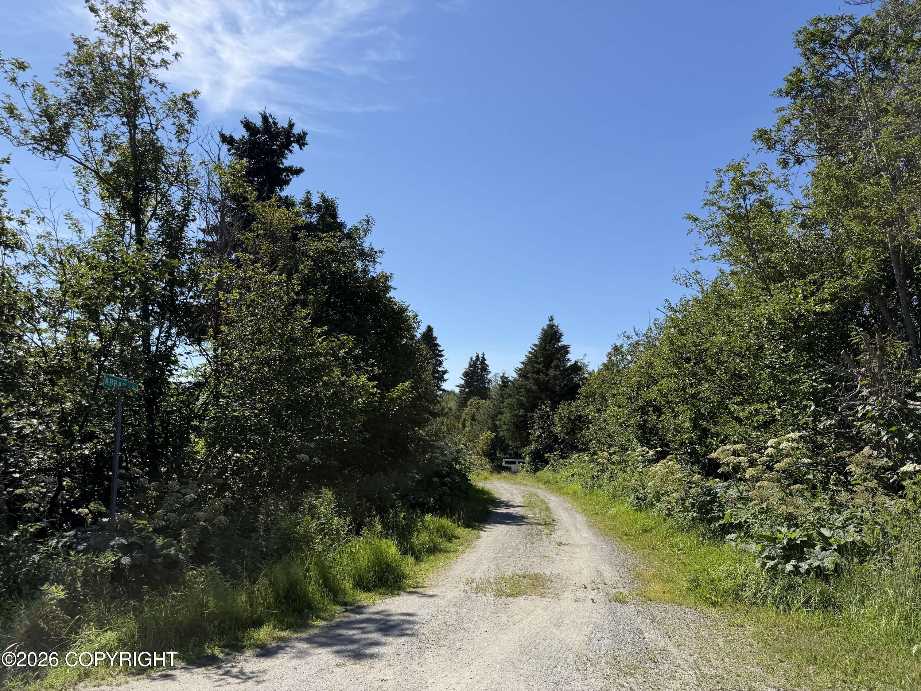 57715 Abbas Court Property Photo 2