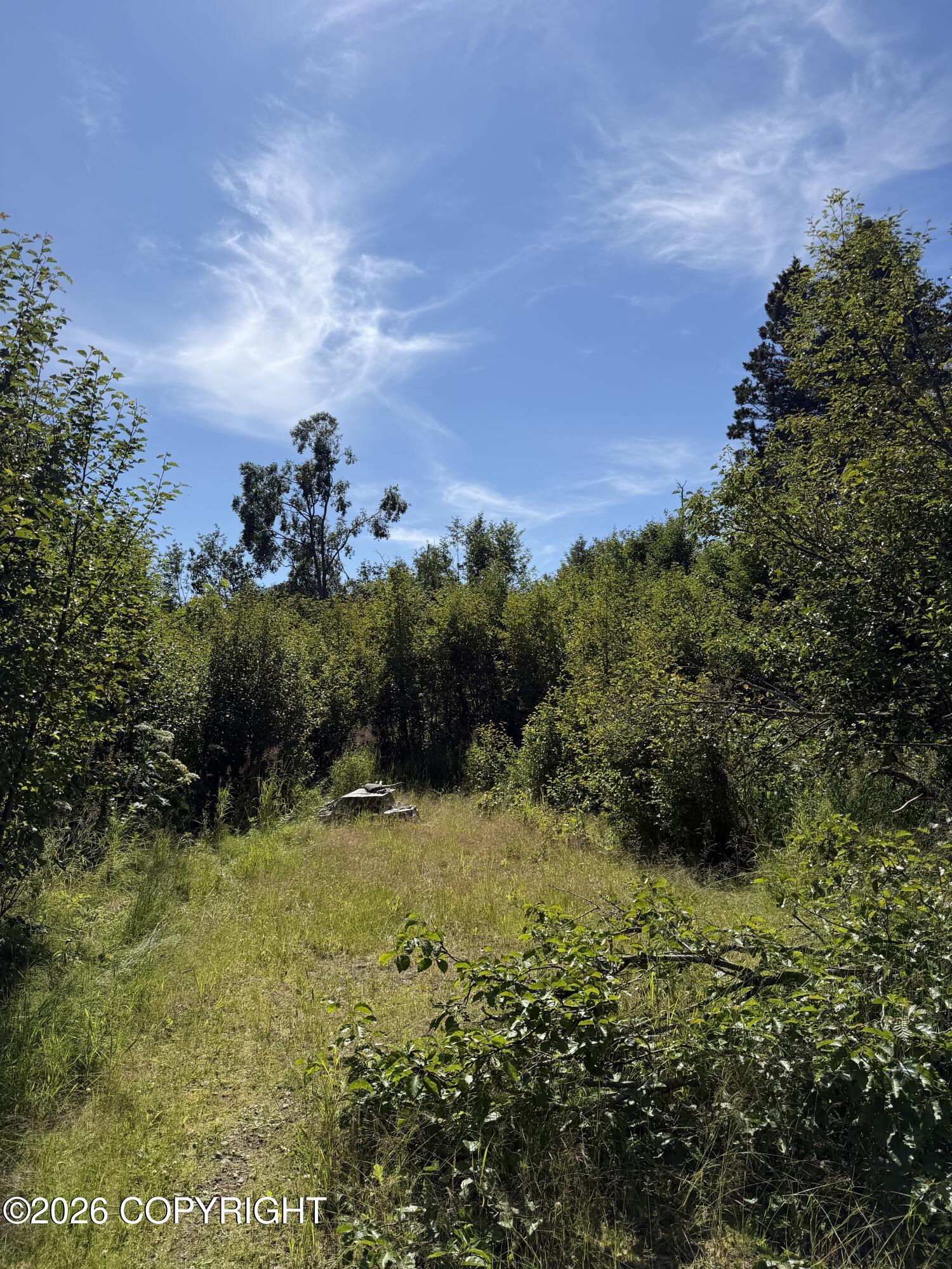 57715 Abbas Court Property Photo 3