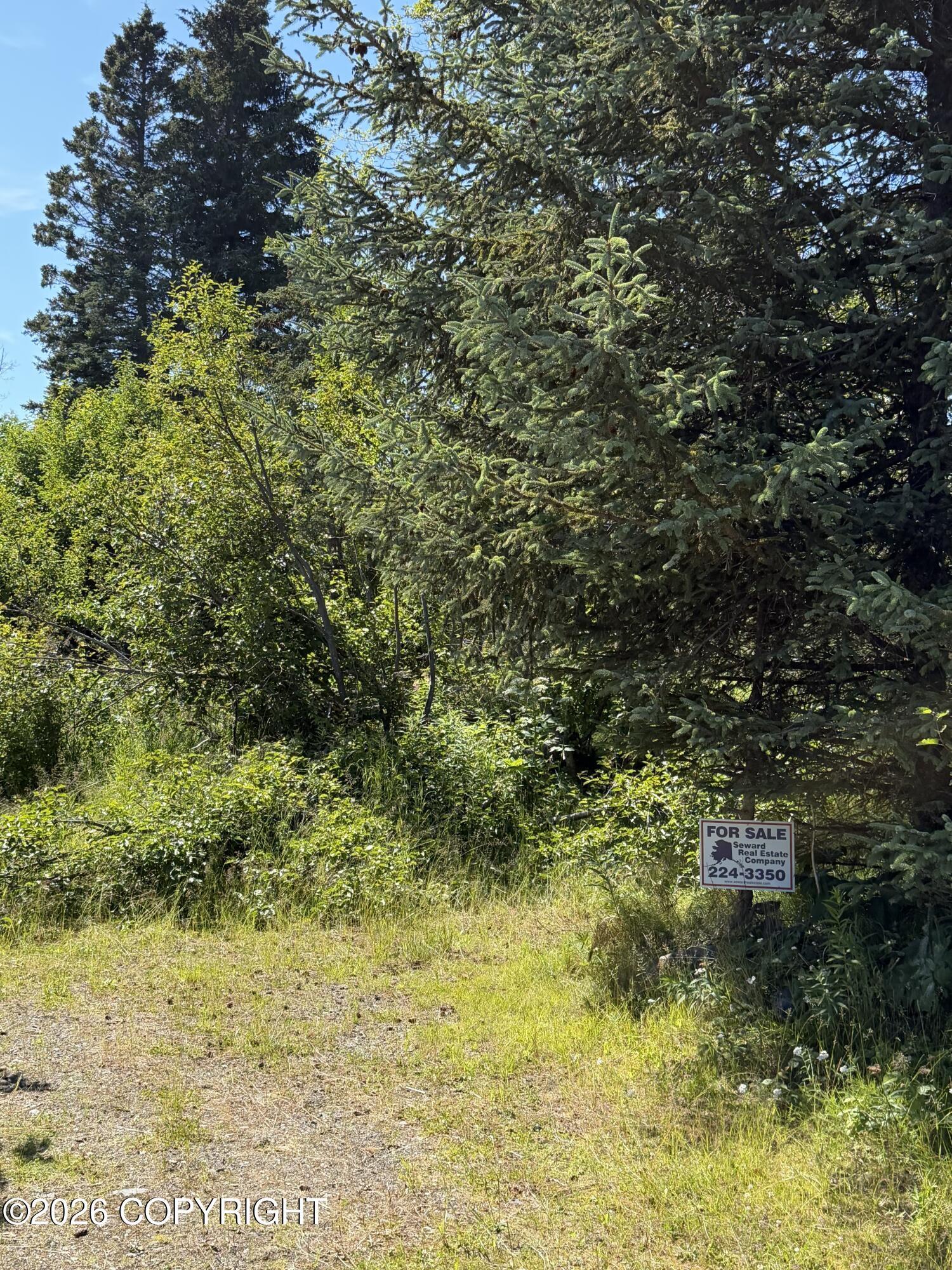 57715 Abbas Court Property Photo 4