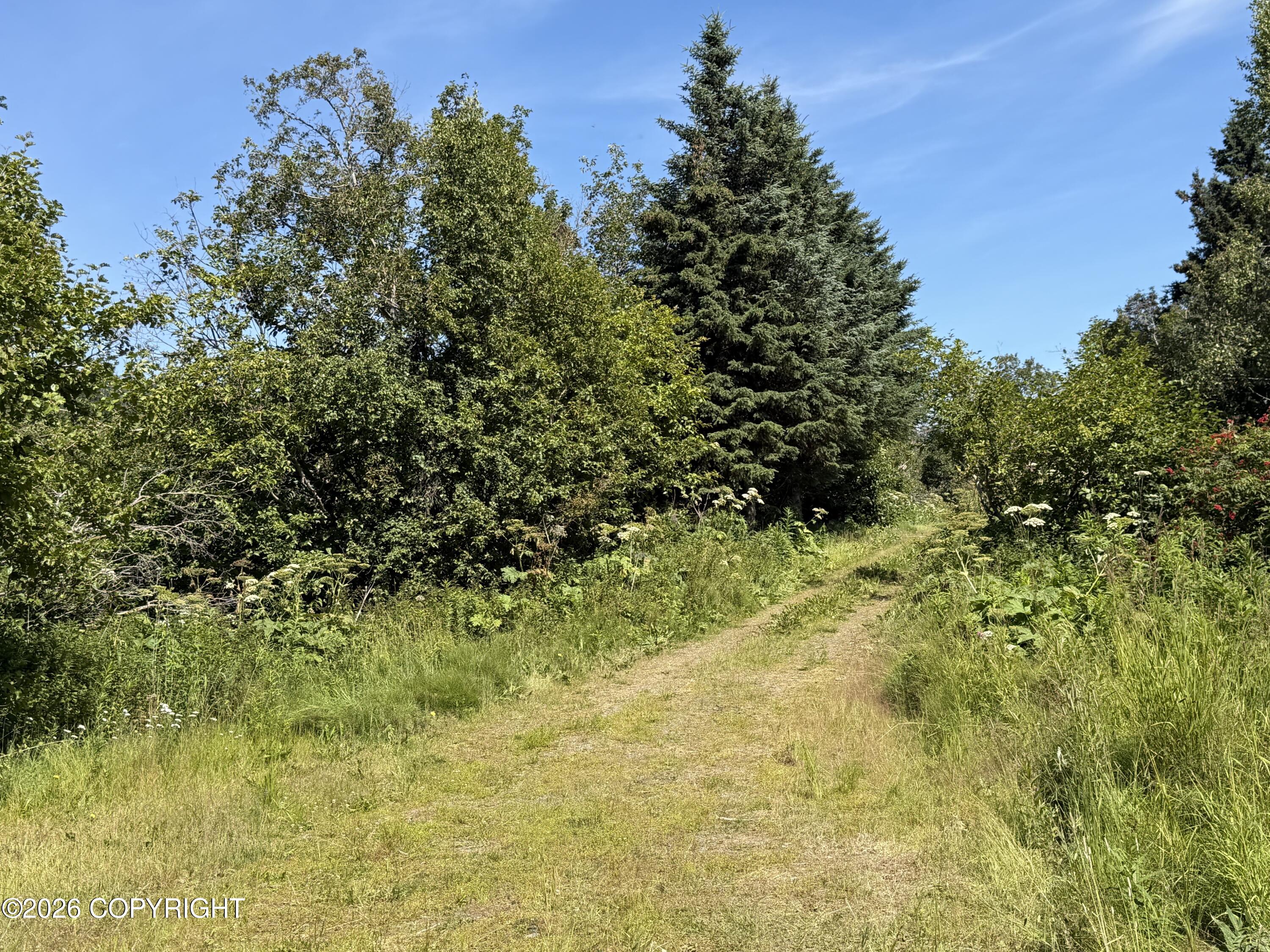 57715 Abbas Court Property Photo 5