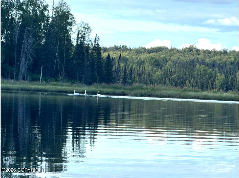 Tr A-b W Bj Lake Property Photo 1