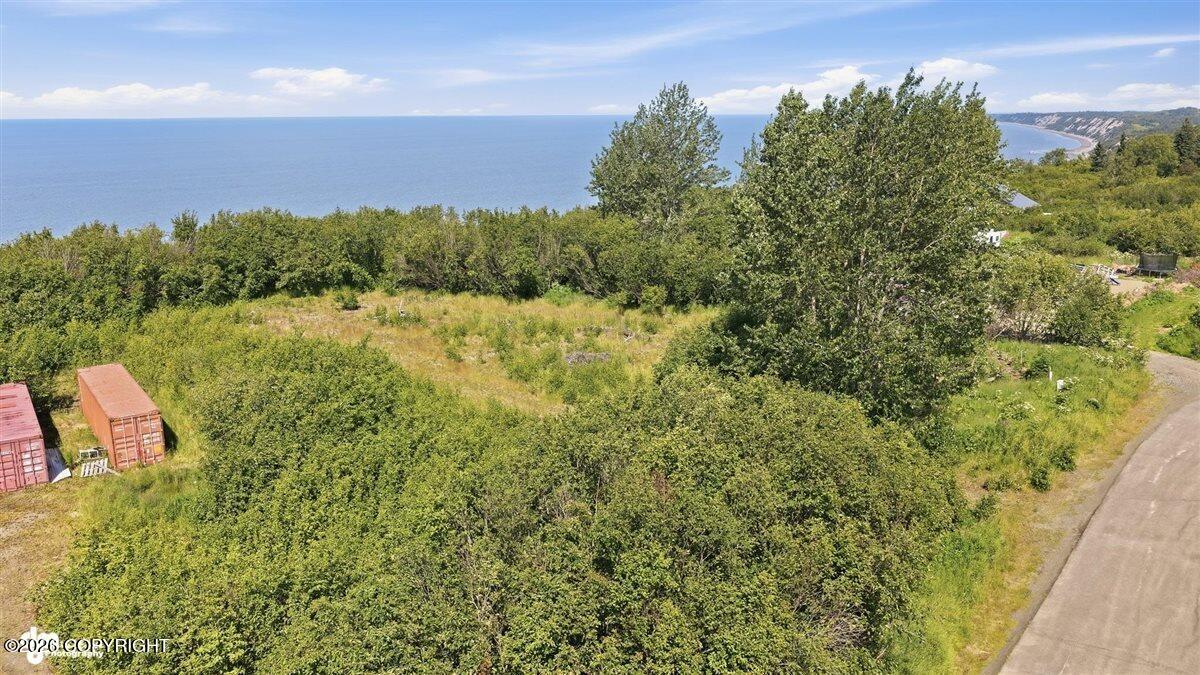 66730 Sterling Highway Property Photo 1