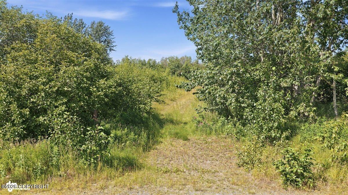 66730 Sterling Highway Property Photo 12