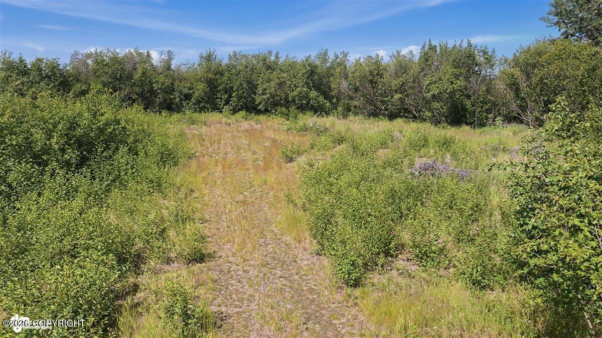 66730 Sterling Highway Property Photo 13