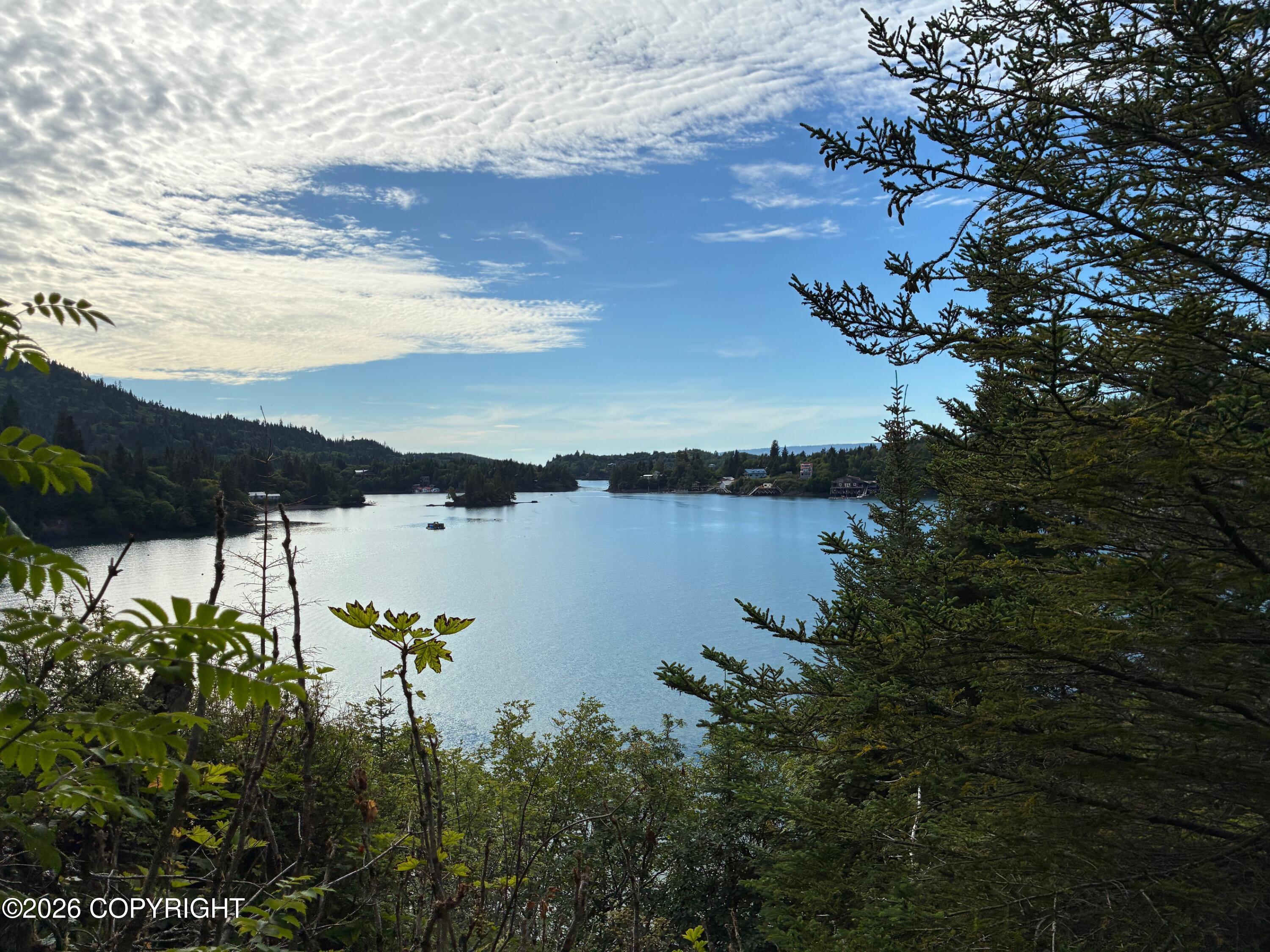 0 Halibut Cove Property Photo 1