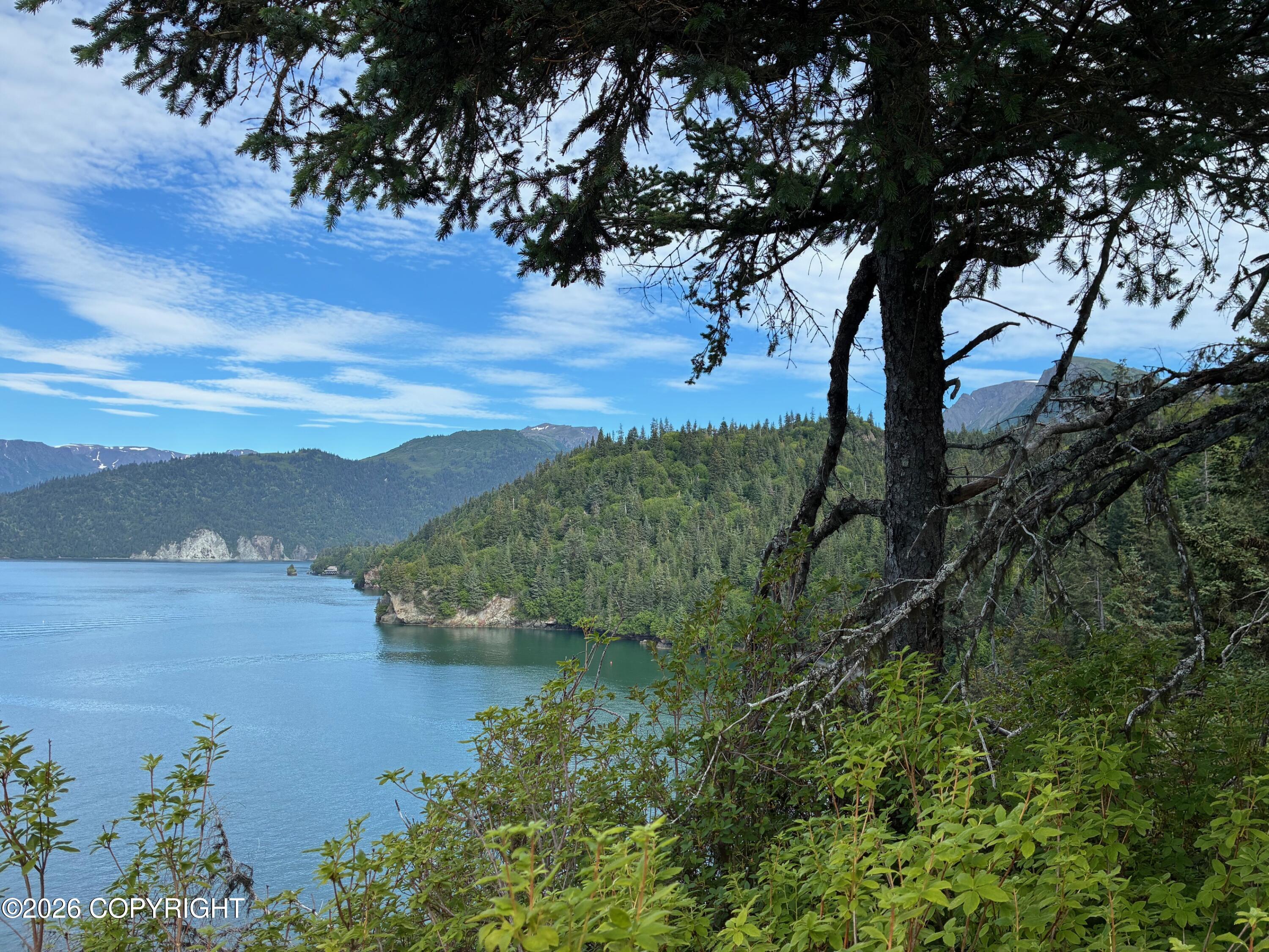 0 Halibut Cove Property Photo 3