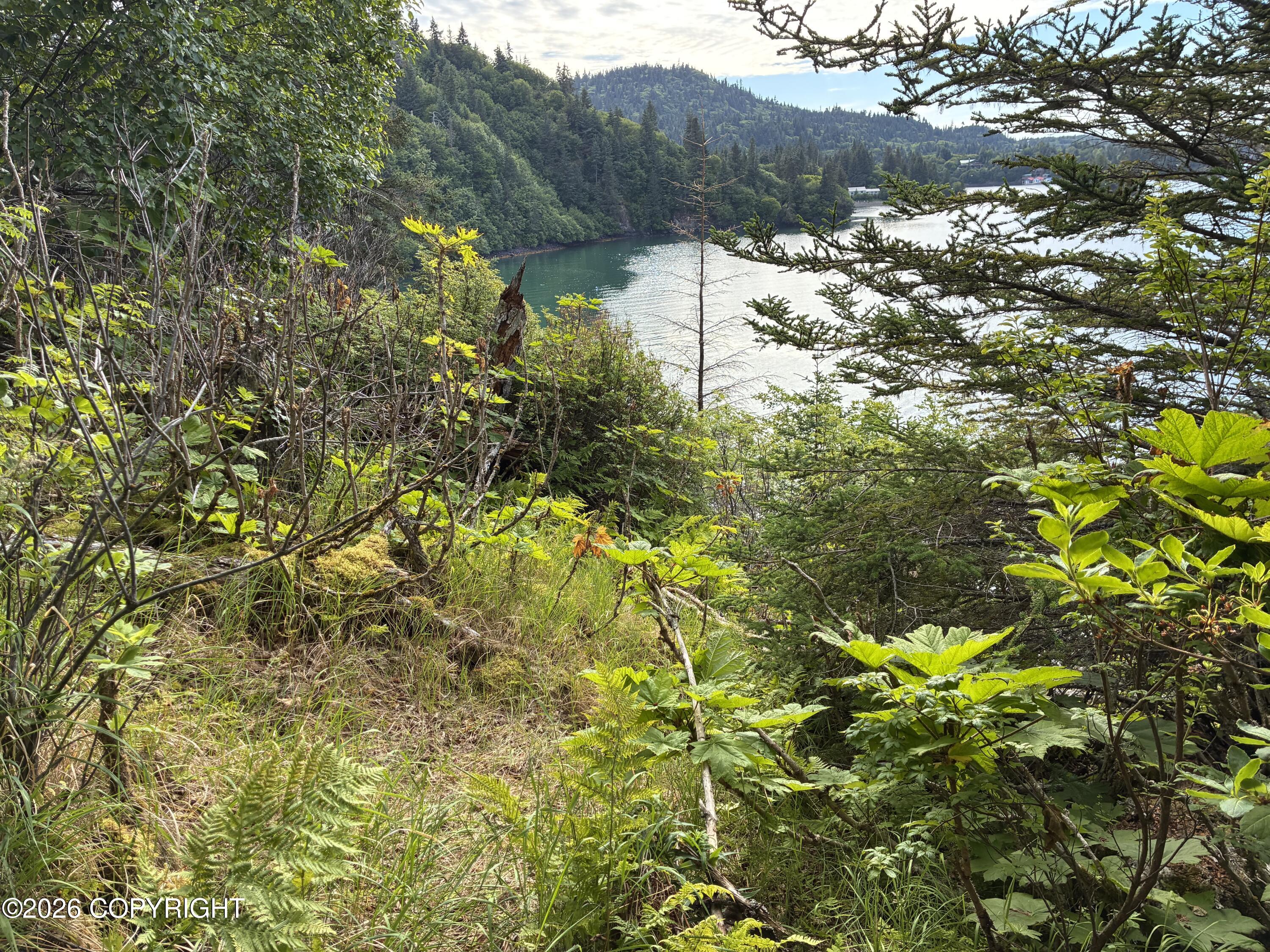 0 Halibut Cove Property Photo 6