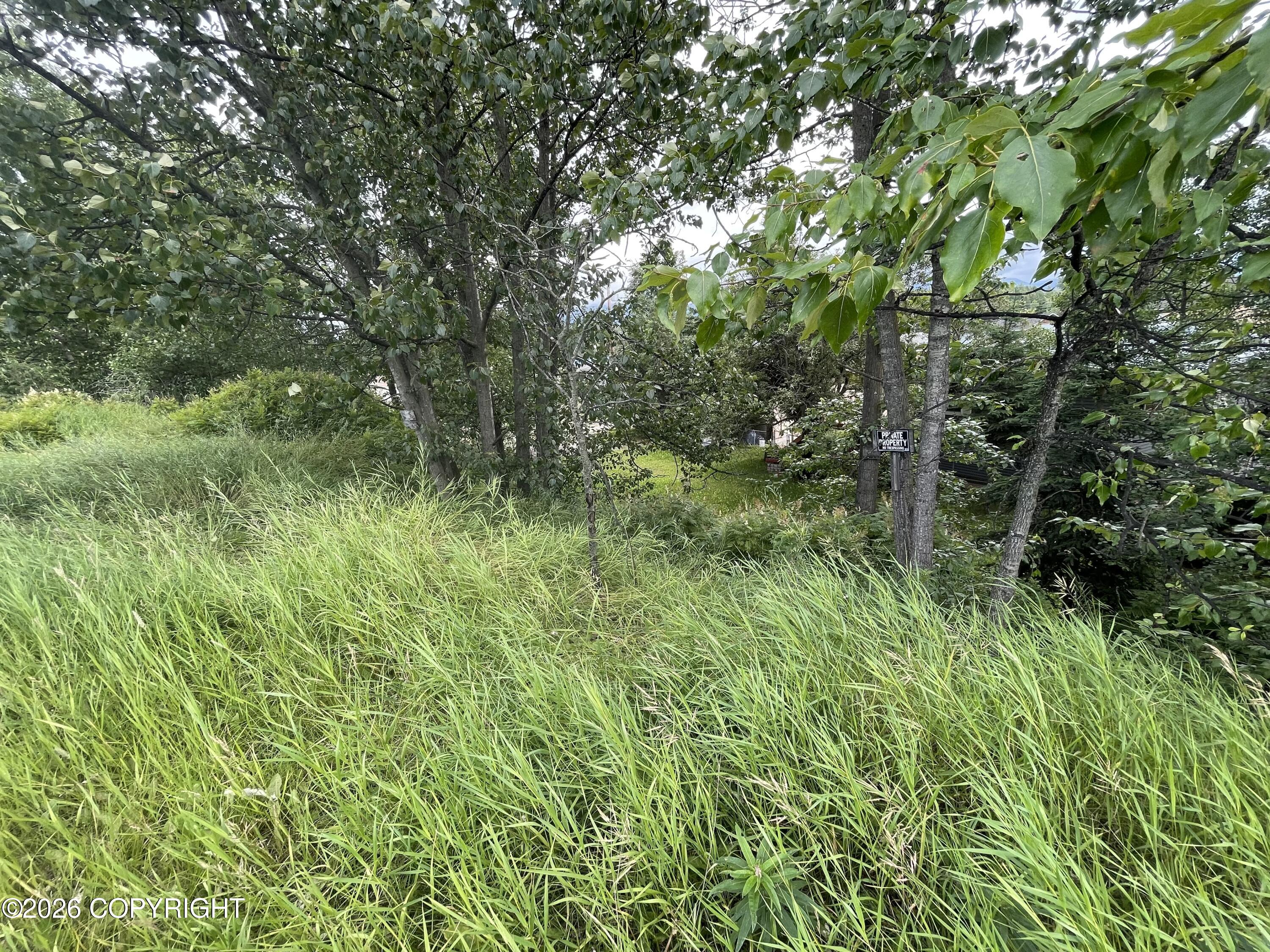 000 Mountain View Drive Property Photo 6